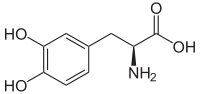200px-3,4-Dihydroxy-L-phenylalanin_(Levodopa).svg.png
